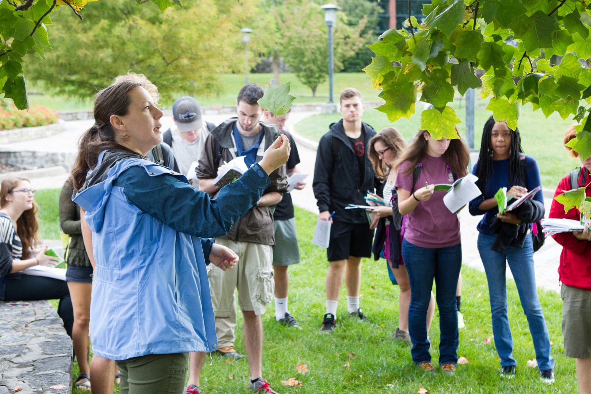 Academic Programs