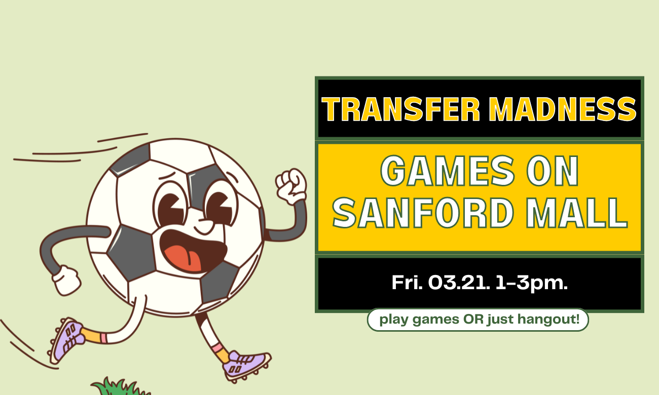 games_on_sanford_mall.png